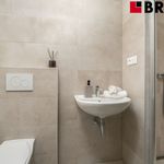 Rent 2 bedroom apartment of 30 m² in Brno