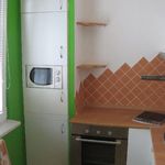 Rent 1 bedroom apartment in Kvasiny