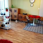 Rent 1 bedroom apartment of 39 m² in Budapest