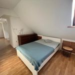 Rent 8 bedroom house of 280 m² in Szczecin