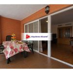 Rent 2 bedroom apartment of 138 m² in Alicante