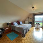 Rent 2 bedroom house in Lochristi