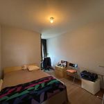 Rent 2 bedroom apartment in Westmalle