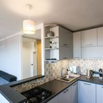 Wynajmij 4 sypialnię apartament z 70 m² w Chorzów