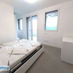 Rent 2 bedroom house of 77 m² in Milano