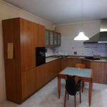 Rent 3 bedroom apartment of 90 m² in Turin