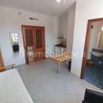Affitto 1 camera appartamento di 30 m² in Frascati