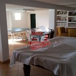 Rent 4 bedroom house of 219 m² in Ferreiras