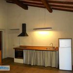 Rent 4 bedroom apartment of 184 m² in Firenze