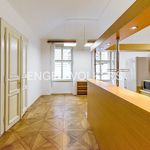 Rent 1 bedroom apartment of 90 m² in Praha