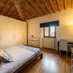 Rent a room of 100 m² in Firenze