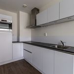 Rent 1 bedroom apartment of 53 m² in 's-Gravenhage