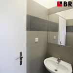 Rent 20 bedroom apartment of 20 m² in Brno