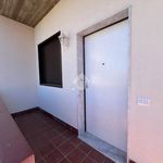 Rent 3 bedroom apartment of 82 m² in Pedara
