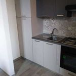 Rent 3 bedroom apartment of 80 m² in Villa Biscossi