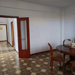 Affitto 2 camera appartamento di 100 m² in Livorno