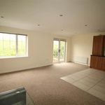 Rent 1 bedroom flat in Newtownards