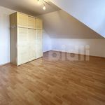 Rent 1 bedroom house of 170 m² in Praha
