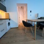 Rent 1 bedroom apartment of 41 m² in München