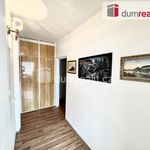 Rent 1 bedroom apartment of 45 m² in Ústí nad Labem
