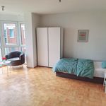 Rent 1 bedroom apartment of 35 m² in Neuss