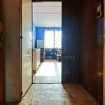 Rent 1 bedroom apartment in Sokolov