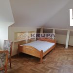 Rent 3 bedroom apartment of 135 m² in Warszawa