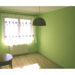 Rent 2 bedroom apartment of 50 m² in Pruszków