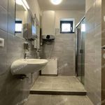 Rent 5 bedroom apartment of 55 m² in Kecskemét