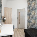 Rent 10 bedroom apartment in Poznan
