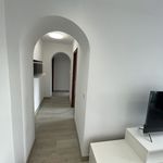 Alquilo 3 dormitorio apartamento de 91 m² en Torrevieja
