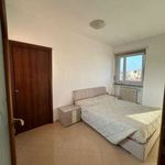 Affitto 4 camera appartamento di 110 m² in Grugliasco