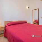 Rent 4 bedroom apartment of 120 m² in Campofelice di Roccella