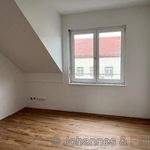 Miete 5 Schlafzimmer wohnung von 115 m² in Dresden