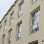 Rent 2 bedroom apartment of 57 m² in Vienna