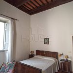 Rent 3 bedroom apartment of 110 m² in Città di Castello