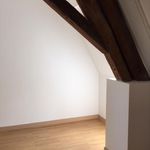 Rent 4 bedroom apartment of 103 m² in Burgille