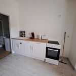 Rent 2 bedroom apartment of 35 m² in Vienne