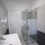 Rent 2 bedroom apartment of 55 m² in Monza