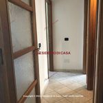 Rent 2 bedroom apartment of 40 m² in Pollina