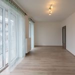 Rent 3 bedroom apartment of 65 m² in Hradec Kralove