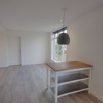 Rent 1 bedroom apartment of 59 m² in arnhem