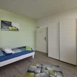 Fully eqipped and furnished apartment, no deposit, near Frankfurt airport
