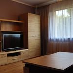 Rent 2 bedroom apartment of 52 m² in Głogów