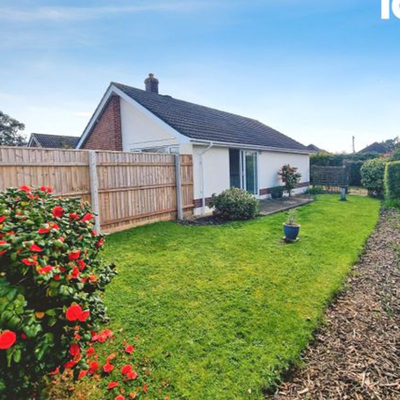Detached bungalow to rent in Russet Close, Ferndown, Dorset BH22