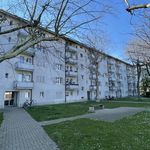 Rent 3 bedroom apartment of 63 m² in Basel