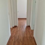 Rent 3 bedroom apartment of 59 m² in Roßwein