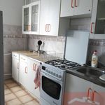 Wynajmij 2 sypialnię apartament z 50 m² w Bełchatów