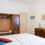 Rent a room in Roma