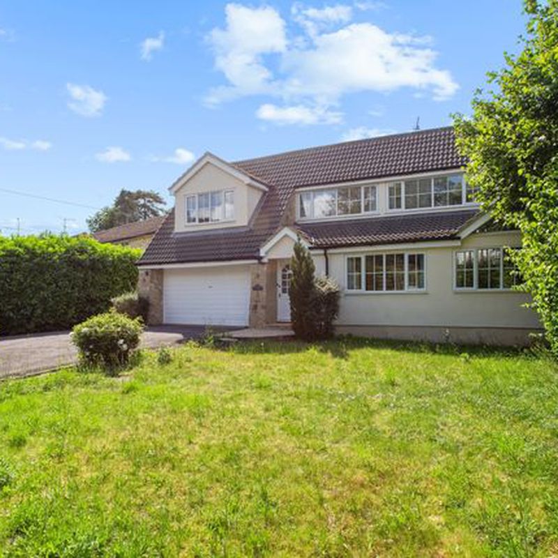 Detached house to rent in Court Road, Maidenhead SL6 Maidenhead Court